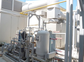 Cogeneration system utilizing natural gas
