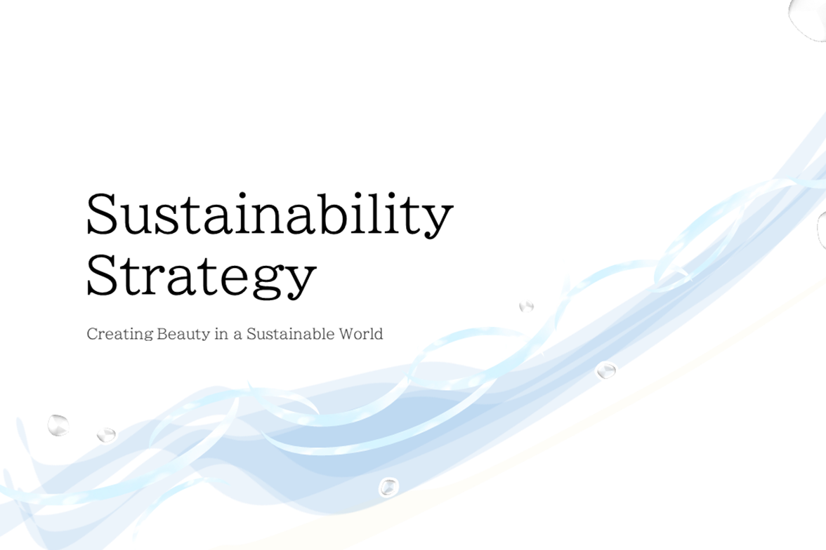 Sustainability Strategy