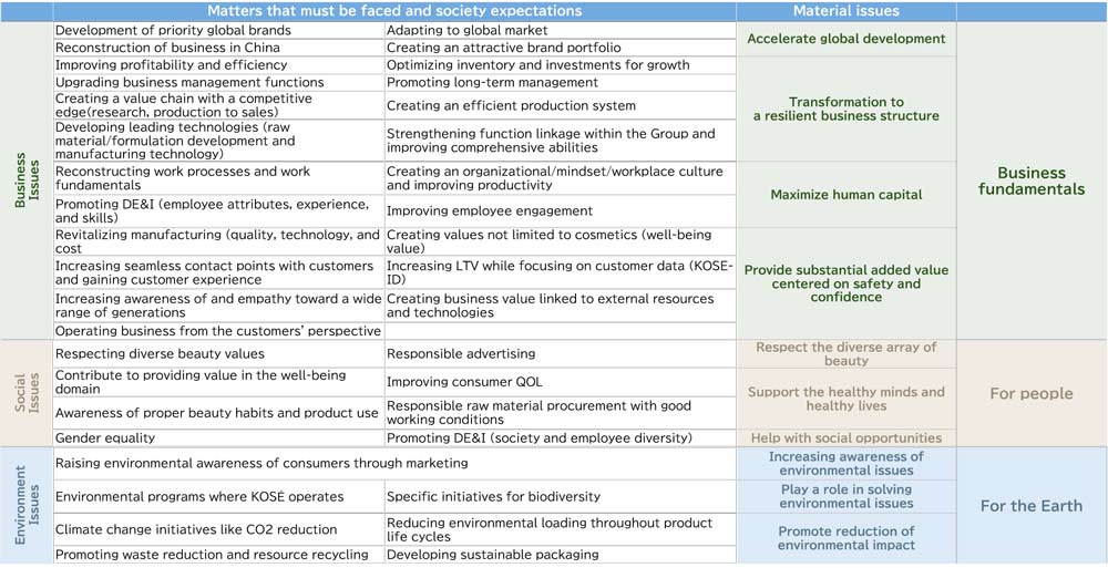 Material Issues and Themes