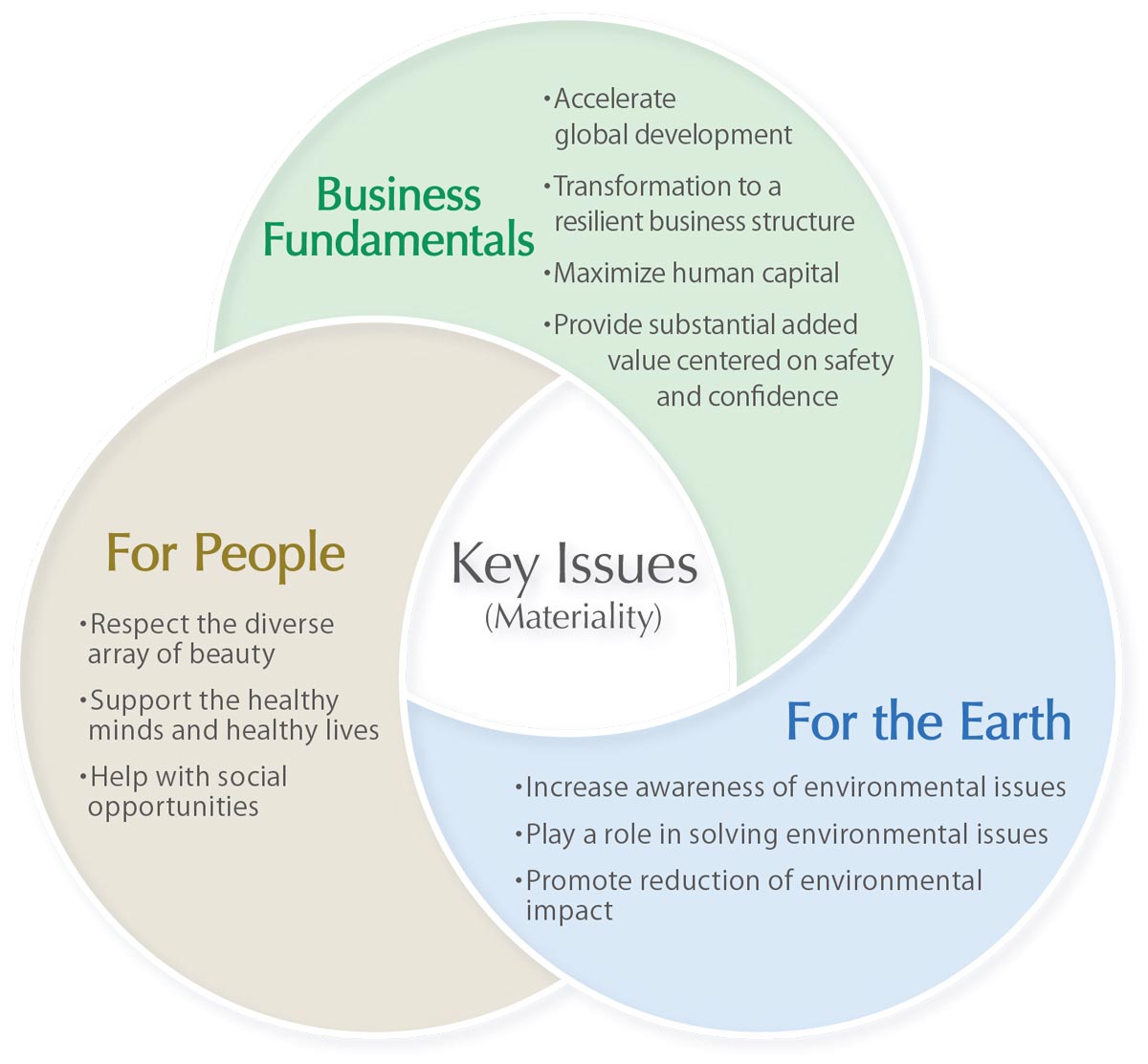 Overview of Sustainability Strategy