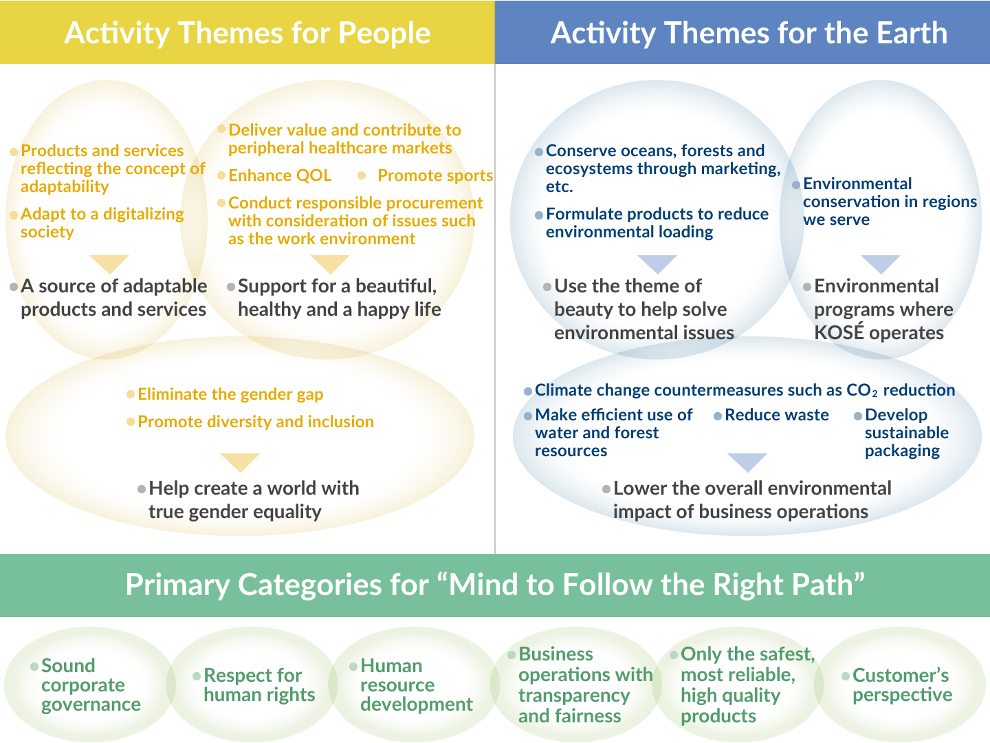 Material Issues and Themes