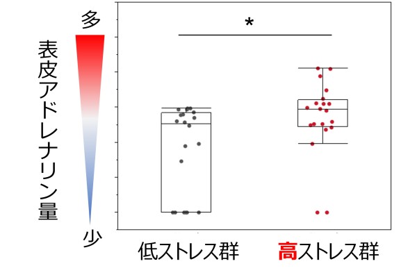 皮膚測定とその試験法 香粧品の安全性と有効性の評価技術をめぐって  /フレグランスジャ-ナル社/ロバ-ト・Ｌ．リ-チェル（単行本） 皮膚測定とその試験法 香粧品の安全性と有効性の評価技術