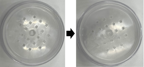 ~累計出荷本数1,600万本※1を突破した「メイク キープ ミスト EX +」の技術を応用~
「メイク キープ」シリーズから2つの商品を発売
「メイク キープ パウダー EX」にリニューアルし、話題再燃中の紙おしろいを新...