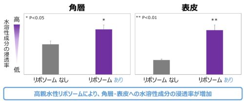 水溶性成分を肌深くまでムラなく浸透させる「高親水性リポソーム」を開発PDF:520KB