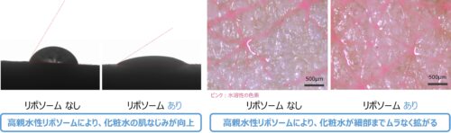 水溶性成分を肌深くまでムラなく浸透させる「高親水性リポソーム」を開発PDF:520KB