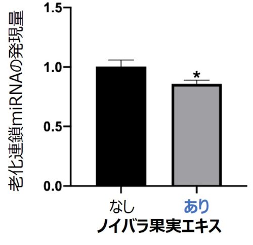 肌の老化を拡げる「老化連鎖miRNA」を発見PDF:642KB